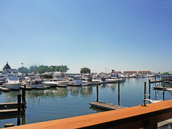 lots of boats at Wildwood Marina